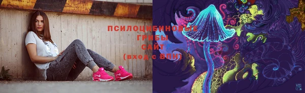 spice Богородицк