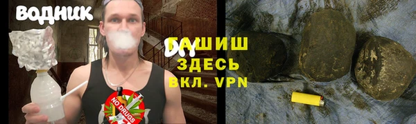 spice Богородицк