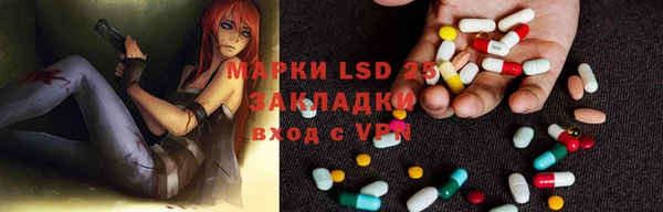 spice Богородицк