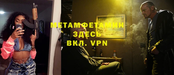 индика Богородск
