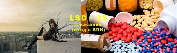 индика Богородск