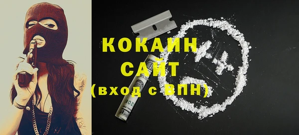индика Богородск