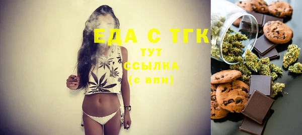 индика Богородск