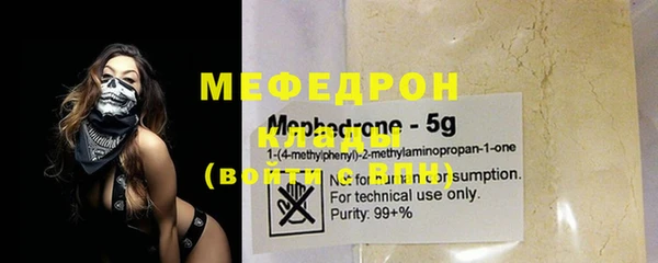 spice Богородицк