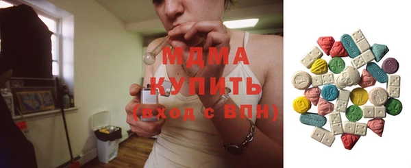 индика Богородск