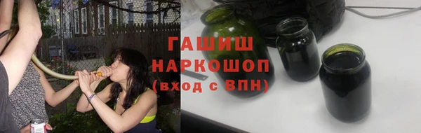 индика Богородск