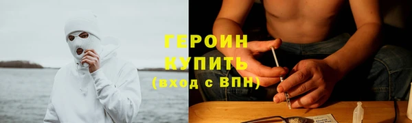 spice Богородицк