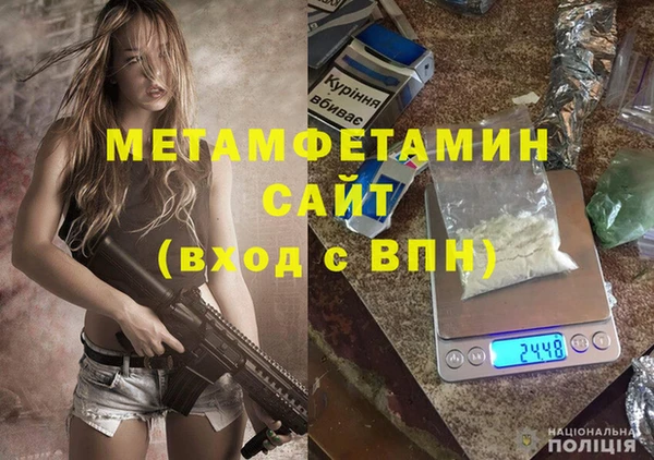 индика Богородск