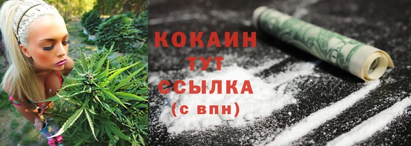 дживик Бородино