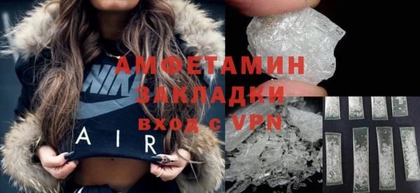 индика Богородск