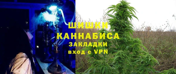 индика Богородск