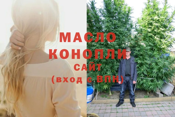индика Богородск
