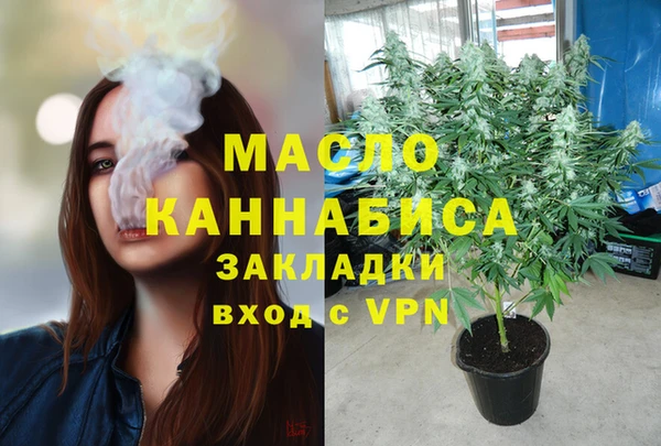 spice Богородицк