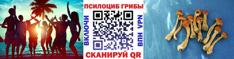 Галлюциногенные грибы мухоморы  Барнаул 